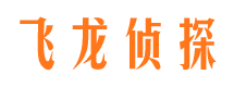 青山湖市私家侦探